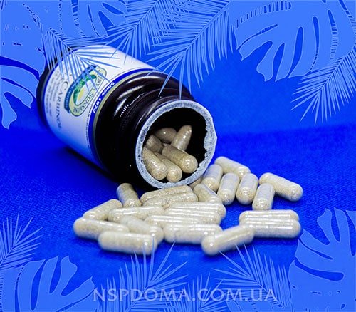 Индол капсулы картинка
