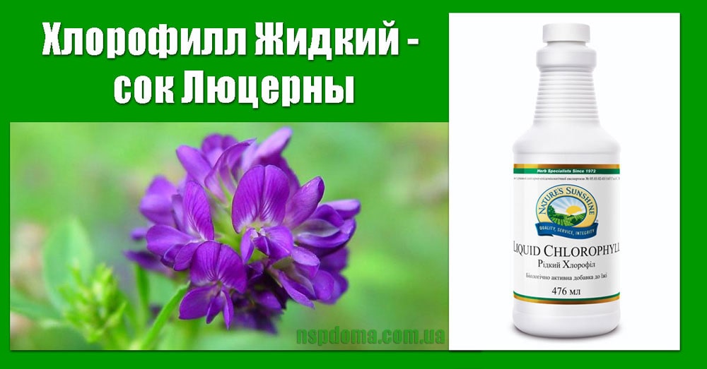 Хлорофилл Жидкий сок Люцерны картинка